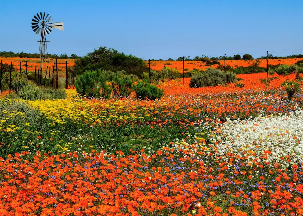 namaqualand-south-africa