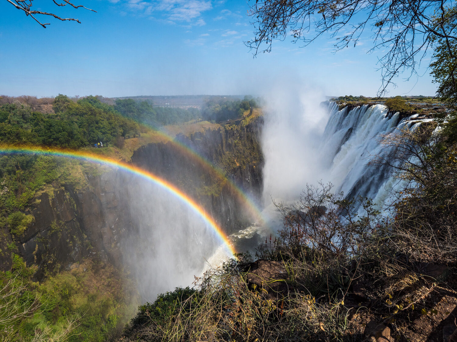 54776096975_ba19d52671_k