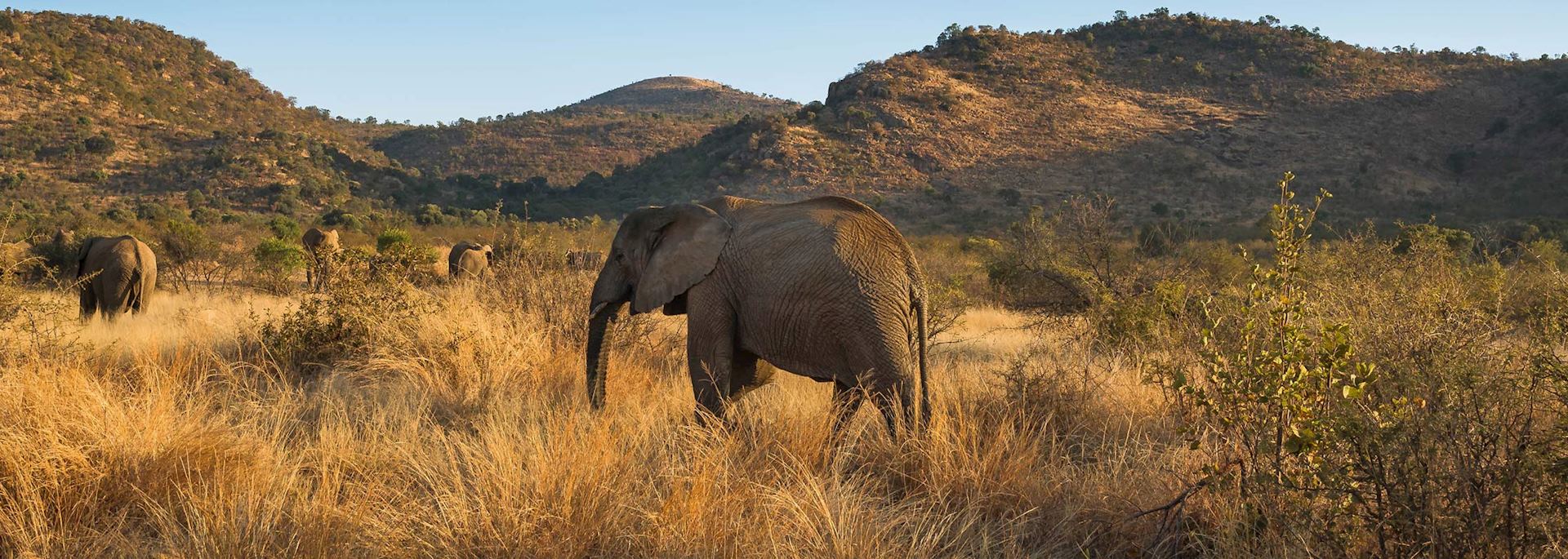 pilanesberg_national_park