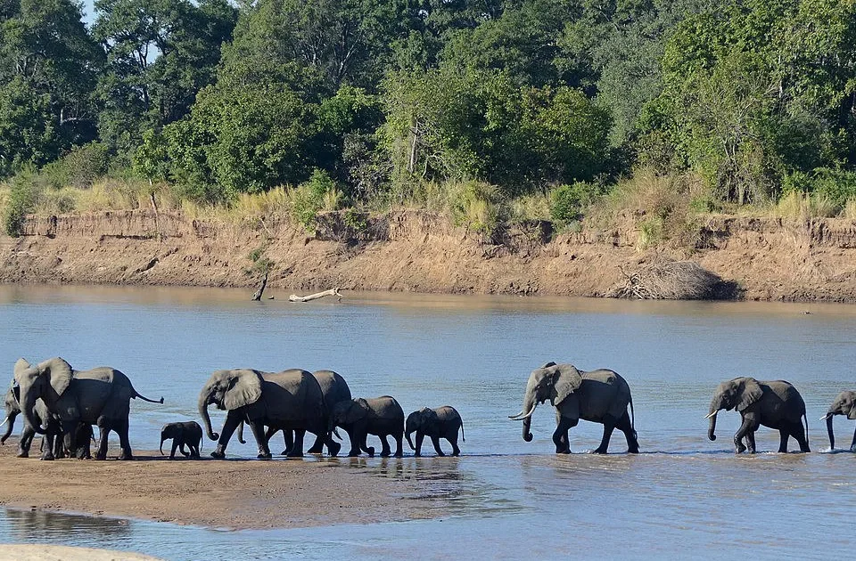South Luangwa National Park
