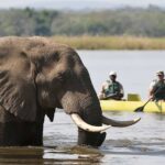 Canoe Safari Africa