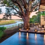 Luxury safari lodges in Africa